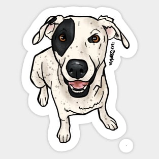 Trace — Dogs of Redstone, Colorado Sticker